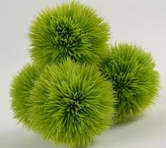Add to favorites preserved boxwood ball~bread bowl filler~preserved boxwood balls~fixer upper~decorative~thanksgiving~christmas. 4 Green Allium Grass Balls 2 5in Wreath Making Supplies Grass Textures Artifical Grass