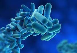 What are the Symptoms of Legionnaires Disease?
