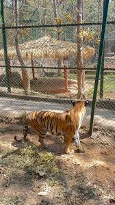 Sanjay Gandhi National Park (SGNP ...