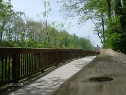 10 Easy And Beautiful Bike Trails In Tennessee Everyone Will Love Bike Trails Bicycle Trail Beautiful Bike