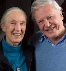 Unforgettable morning with Jane Goodall in 2014. We talked about everything  from Bigfoot to bird watching with Dave Matthews to saving the world. Thank  you for making the earth a better place.