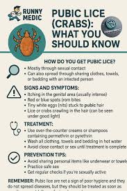 Image result for pubic lice symptoms
