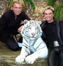 Watch the roy horn tiger attack video where after several attempts, tiger animal trainers finally get the tiger mantecore to release roy horn. Legendary Vegas Magician Roy Horn Siegfried And Roy Dies At 75 After Coronavirus Battle Daily Mail Online