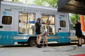 Adopt love, change a life. Pit Stop Mobile Adoption Center Coming To Mill Basin Brooklyn Paper