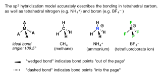 Hybrid Orbitals Chemistry Organic Chemistry Molecular