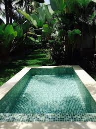 50 Stunning Tropical Home Design With Mini Pool Page 47 Of 54 Backyard Pool Amazing Swimming Pools Small Backyard Pools