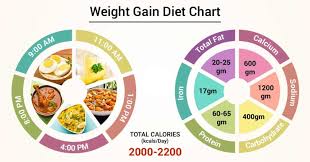 Diet Chart For Weight Gain Patient Weight Gain Diet Chart