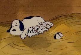 Snoopy - Baby Snoopy… From: Snoopy is Awesome | Facebook