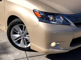 Image result for Golden Almond 2010 HS