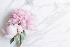 Peony flower wallpaper for mobile. Peonies 1080p 2k 4k 5k Hd Wallpapers Free Download Wallpaper Flare