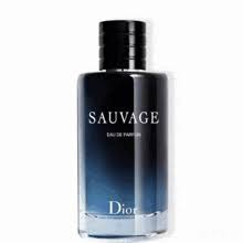 Sauvage GIFs | Tenor