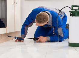 He answers all of my questions without hesitation, also he always has a smile!! Your 1 Choice For Restaurant Pest Control Green Pest Management