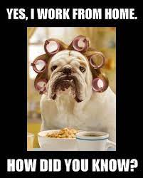 Intensive Online Training Courses In Proofreading Funny Memes About Work Work Quotes Funny Work Humor