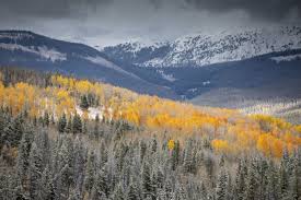 Four Seasons Resort And Residences Vail Getaway Promotion Free Breakfast 100 Credit And Vip Status Https In 2020 Road Trip To Colorado Nature Estes Park Hotels