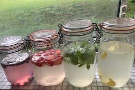 腸を健康にする爽やか乳酸飲料「ウォーターケフィア」を作ってみよう｜LIFE LIST - 好きな街・住みたい街・私の街