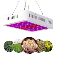 Choose the best hps bulb for you from a variety of top brands trusted by growers including agromax, hortilux, and sunmaster available for 150 watt, 250 watt, 400 watt, 600 watt, and 1000 watt grow lights all at great prices. Grow Light Kit 2000 Watt Dual Chips Led Plant Light Full Spectrum Grow Lights For Indoor Plant Seedling Growing Flowering Indoor Grow Light For Greenhouse Hydroponic Grow Tent Home White W10708
