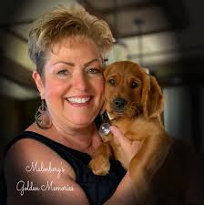 Is my dog a field golden retriever or mix?