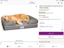 Wayfair Dog Lounge Shopping Dogs
