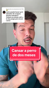 Respuesta a @YOLI🌻 comer jugar dormir es lo que toca en esa etapa, y  empezar a practicar la paciencia de la parte humana 👌🏻💖 #cachorros  #adriancondevet #perros #veterinaria