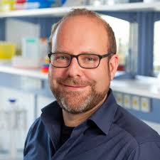 Tissue-resident Lymphocytes (Gasteiger Lab)