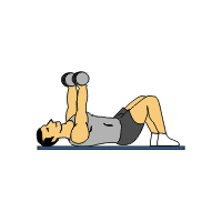 Over 20 Dumbbell Exercises Complete With Animated Diagrams