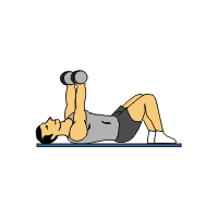 over 20 dumbbell exercises complete with animated diagrams