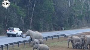 Aynı zamanda sabah maliye bakanı, united mal'ın başkanıydı. Petition Sabah Chief Minister Datuk Seri Musa Aman Kinabatangan Wildlife Sanctuary Threatened By Bridge And Road Development Change Org