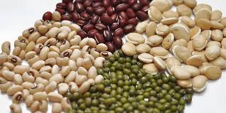 Ripley's Believe It or Not! - Greek mathematician Pythagoras had a deep  dislike of beans, perhaps believing that they contained the souls of the  dead. | Facebook