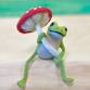 Needle Felted Posable Frog for Beginners — The A... event in Anchorage, AK