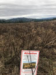 The powell butte nature park visitor center. I Guess It Worked Powell Butte Nature Park Portland