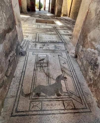 Almost 2,000 years ago, people in Pompeii were already warning visitors at the door! 🫢🐶🇮🇹 The famous CAVE CANEM mosaic, meaning “Beware of the dog” in Latin, was found near the entrance