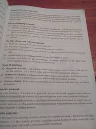 Examples of plant cell diffusion. What Is The Importance Of Osmosis To Plants And Animals Quora