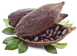 Fit Food Obsession: Cacao | Food obsession, Workout food, Raw food diet