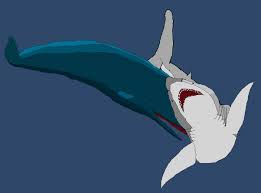 Blue whale, one smack from its tail would kill it. Which Would Win In A Fight A Sperm Whale Or A Megalodon Quora