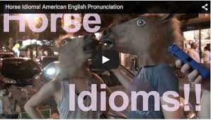 What does beat a dead horse expression mean? Horse Idioms Rachel S English