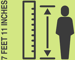 7 Fuß 11 Zoll in Zentimeter (7 feet 11 inches in cm) | amerikanische  Körpergrößen