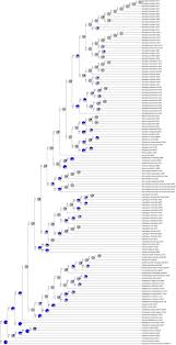 Image result for Tristicha