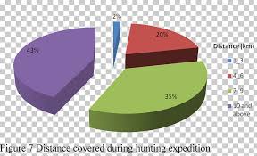Cross River Gorilla Pie Chart Statistics Wildlife