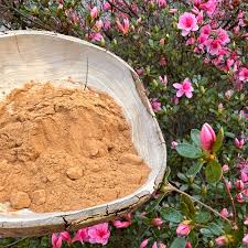 Image result for Polygala products