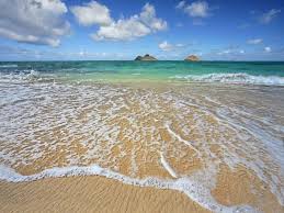 You can download apps/games to desktop of your pc with windows 7,8,10 os, mac os, chrome os or even ubuntu os. 50 Live Beach Wallpapers On Wallpapersafari