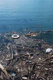 Also, see if you ca. Pollution Quiz Fun Free General Knowledge Earth Science Quiz For Kids Online
