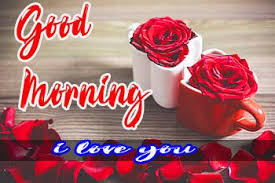 Good Morning Images For Girlfriend Pics Free Download In 2020 Good Morning Images Very Good Morning Images Good Morning Images Download