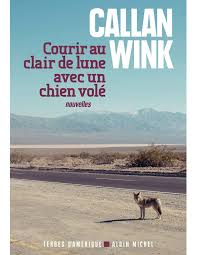 Livres Le Top 10 Du Mois De Decembre Elle Clair De Lune Nouvelle Terre Lune Gibbeuse