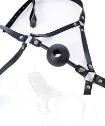 BAOMAZ4 Mouth Gag Mouth Gag Extreme Head Harness Fetish BDSM Bondage Gag  Ball Gags Ball Ball Gag Ring Fetish Mouth Gag Mouth Lock Slave Bite Gag  Role Play Sex Toy for Couples (Color : Schwarz) : Amazon.co.uk: Health &  Personal Care