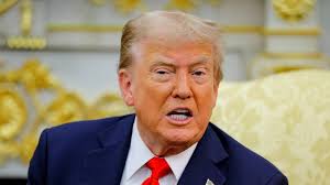 Caller-Times Mural Bracket Showdown: Finals time — which Corpus Christi  mural will win?