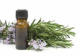 It is a natural and safe way to maintain beauty as it rejuvenates skin and treats scalp infections. Eo Rosemary 100 Pure Mariati Aroma