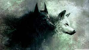 Maybe you would like to learn more about one of these? Yin And Yang Wolves Wallpapers Wallpaper Cave