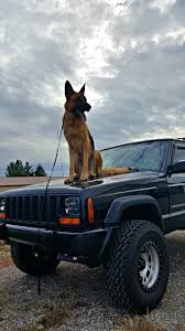 I Ll Just Leave This Right Here Jeep Jeeplife Wrangler Jeeps Cherokee Jeepmafia Offroad 4x4 Jeep Dogs German Sheperd Dogs Baby Animals Funny