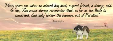 Posts About Animals In Heaven On For The Love Of His Truth Dog Died Dogs All Dogs