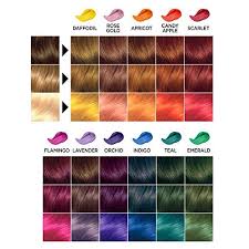 Amazon Com Clairol Color Crave Semi Permanent Hair Color Orchid Beauty Clairol Color Permanent Hair Color Semi Permanent Hair Color